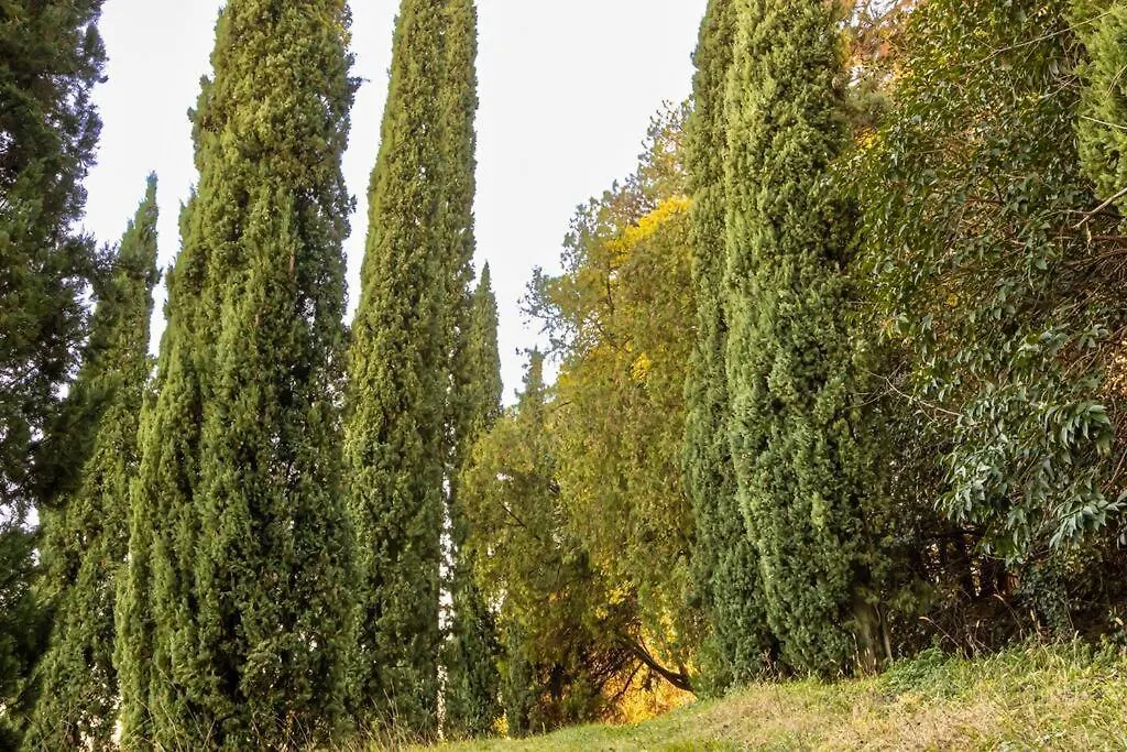 Lägenhet Villa Col Di Luna-Proseccohills Vittorio Veneto