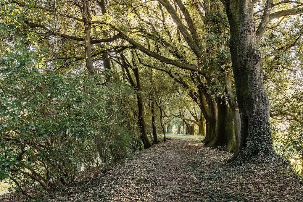 Villa Col Di Luna-Proseccohills Vittorio Veneto